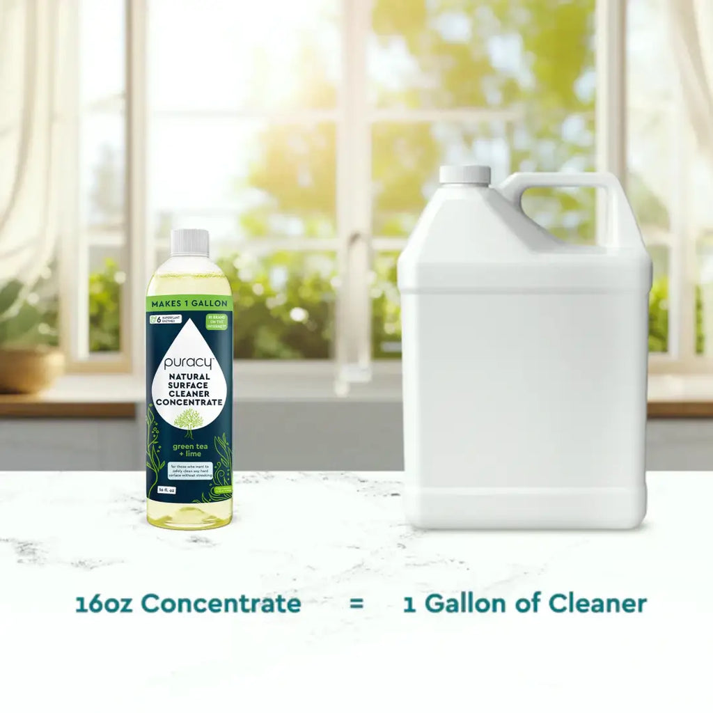 Everyday Multi-Surface Cleaner, 16 fl oz
