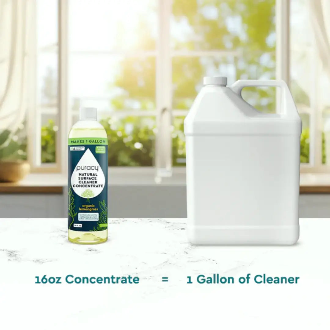 Everyday Multi-Surface Cleaner, 16 fl oz