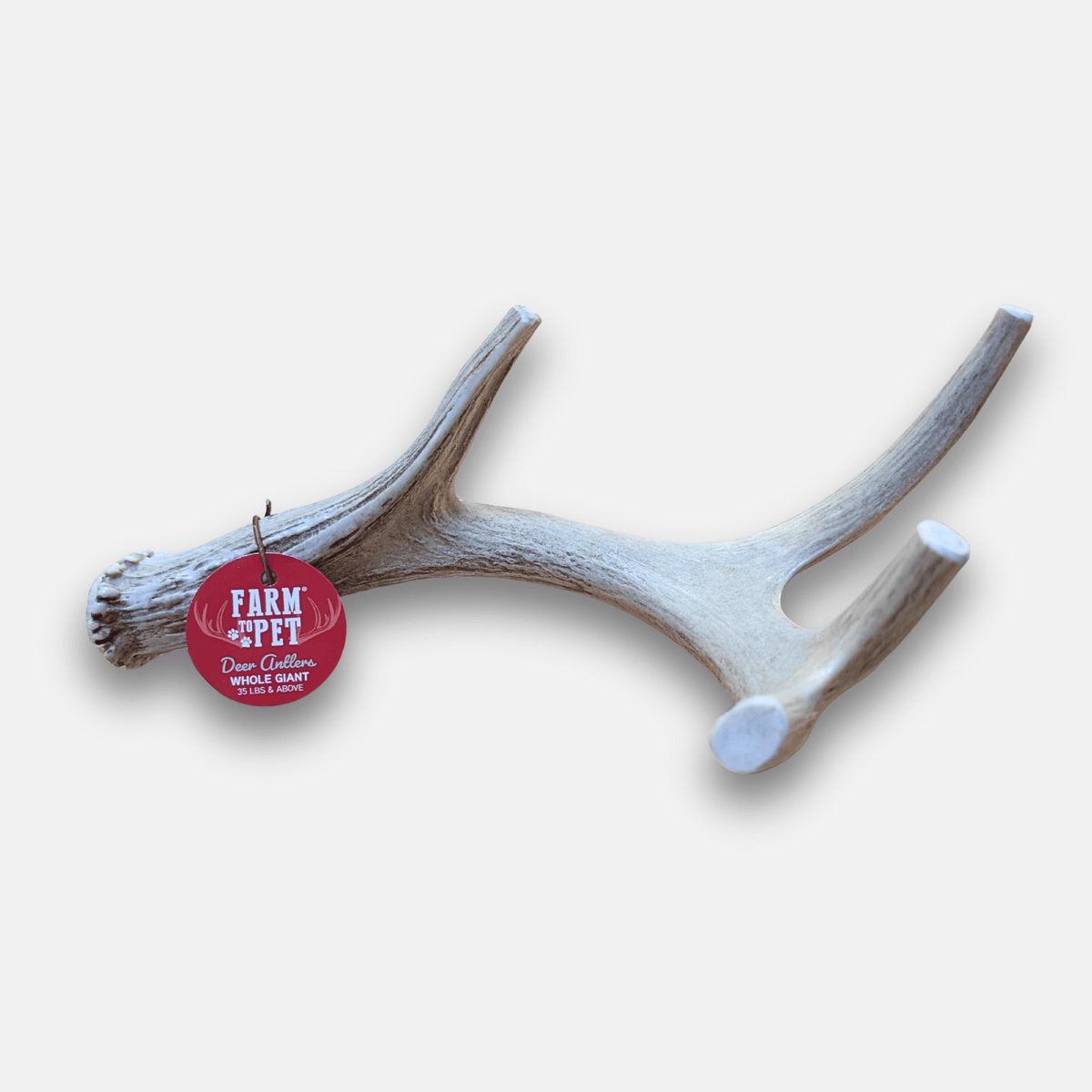 Deer Antler Chew for Dogs