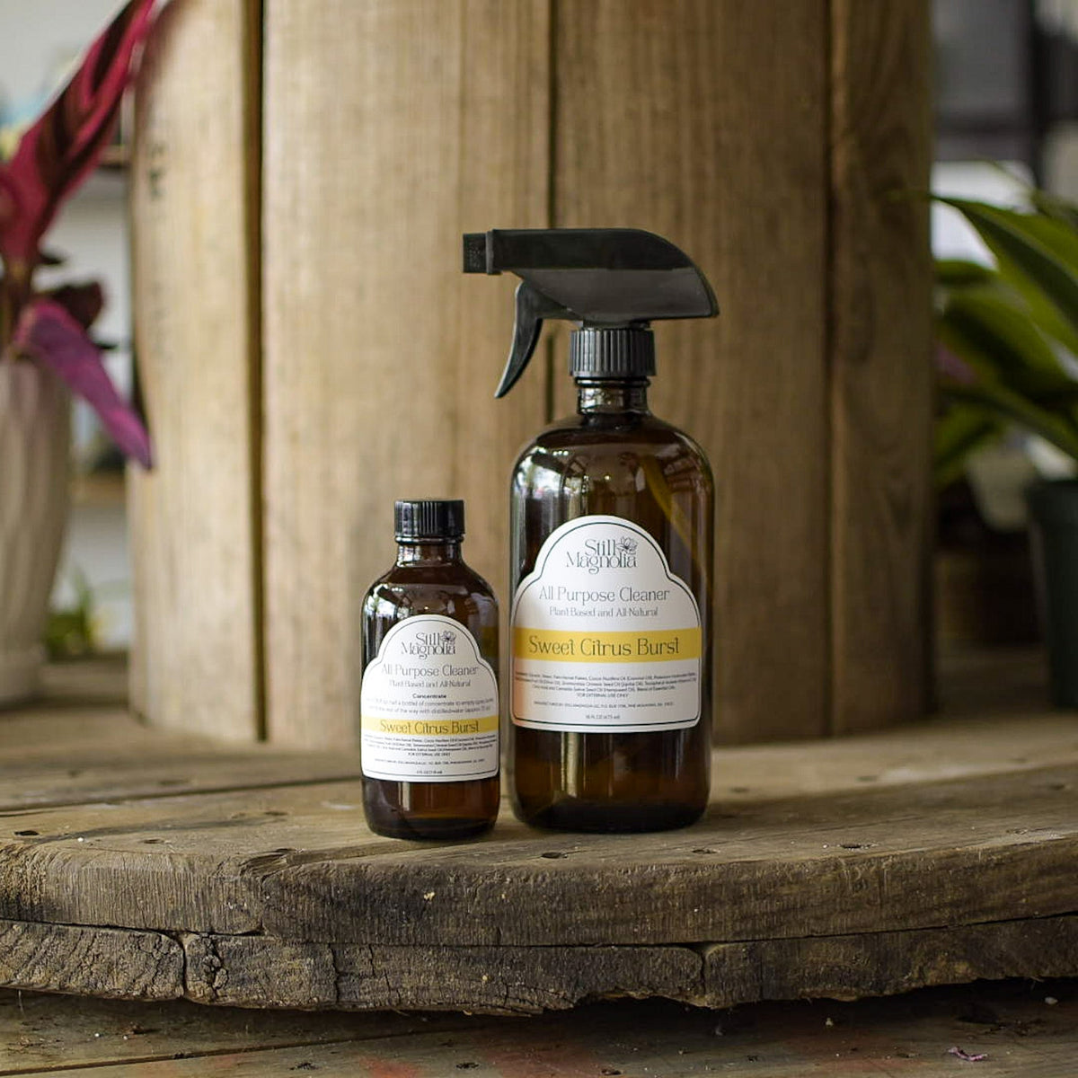 All-Purpose Cleaner Concentrate, Sweet Citrus by Still Magnolia, detail