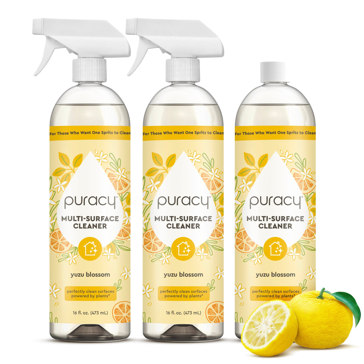 Everyday Multi-Surface Cleaner, 16 fl oz