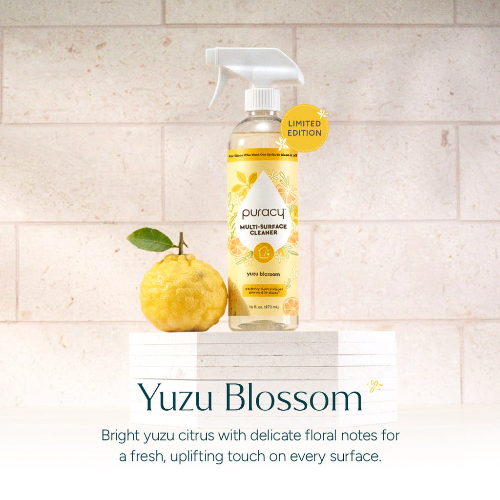 Everyday Multi-Surface Cleaner, 16 fl oz