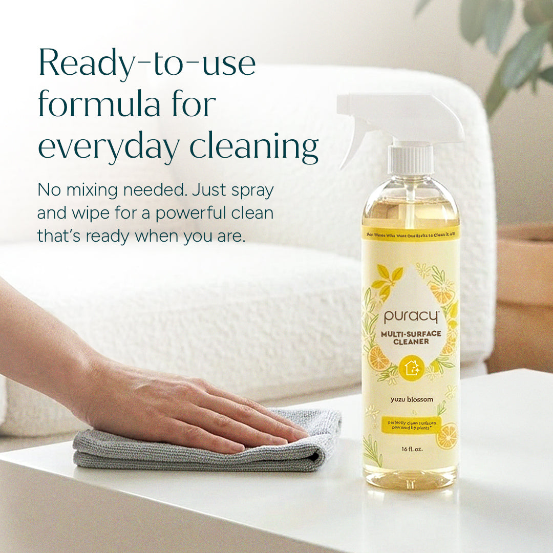 Everyday Multi-Surface Cleaner, 16 fl oz