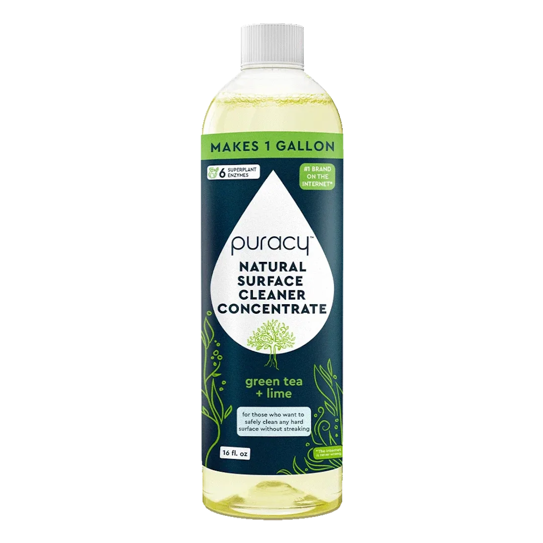 Everyday Multi-Surface Cleaner, 16 fl oz